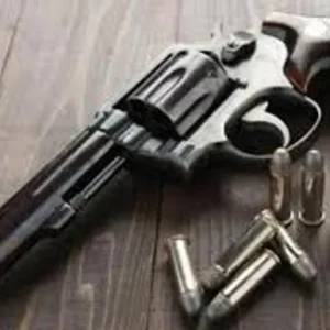AI Gun